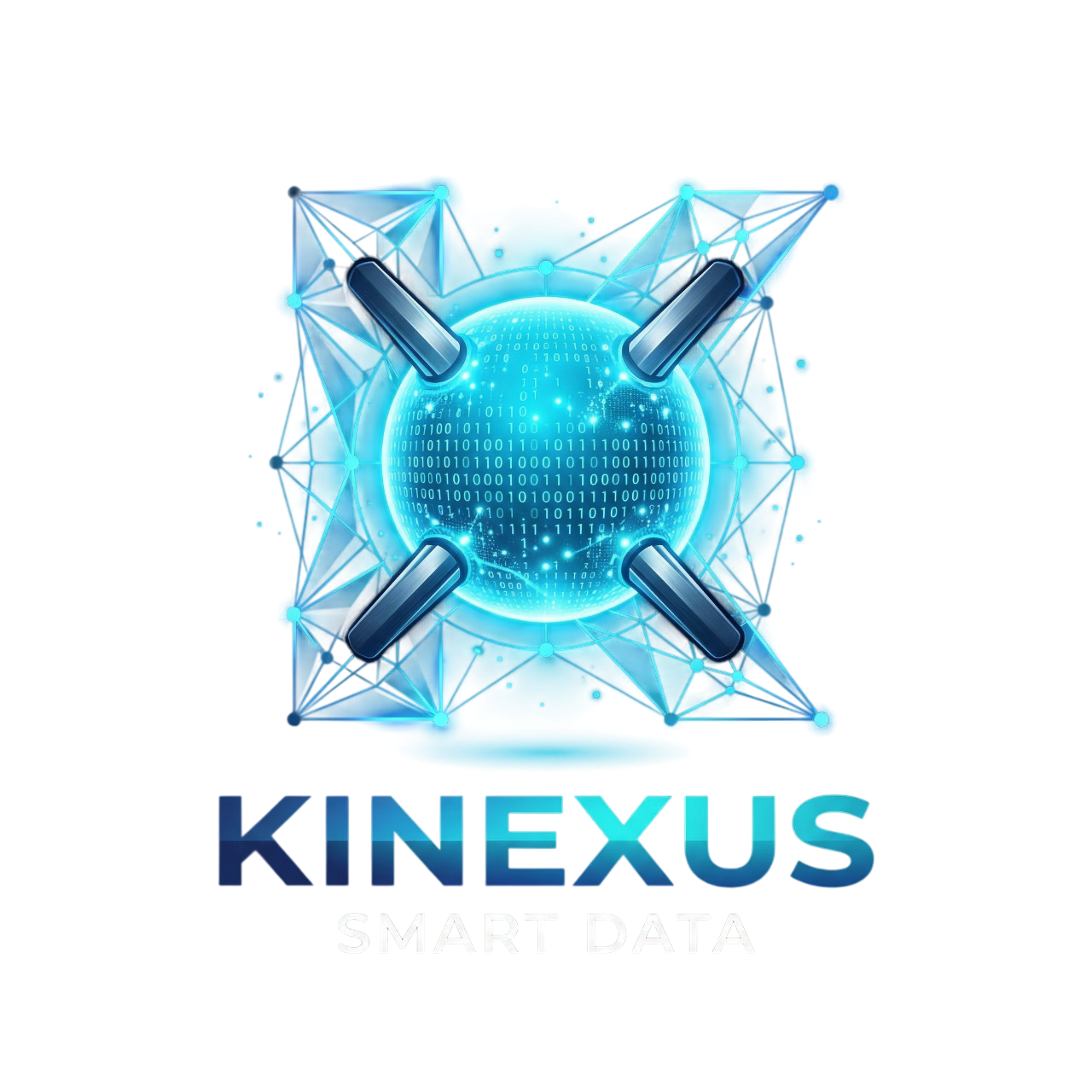 Kinexus Smart Data S.A.S.